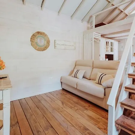 El Pino Centenario 4b