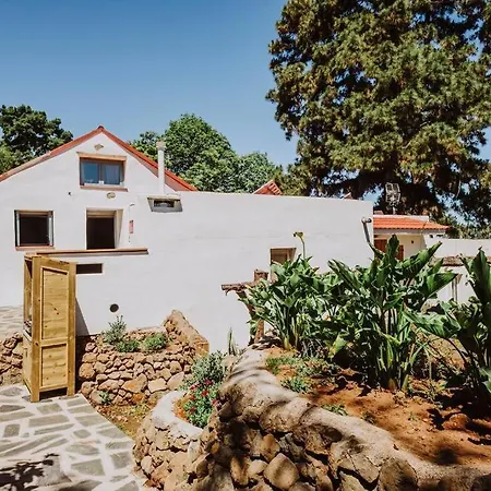 El Pino Centenario 4b * La Perdoma