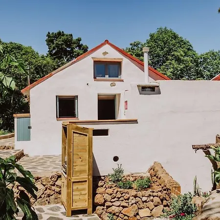 El Pino Centenario 4b