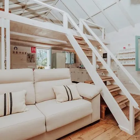 El Pino Centenario 4b * La Perdoma