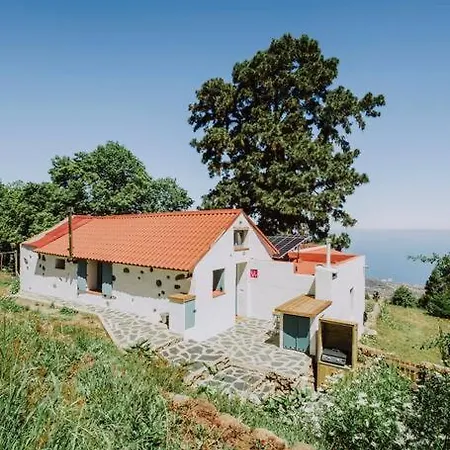 ヴィラ El Pino Centenario 4b *