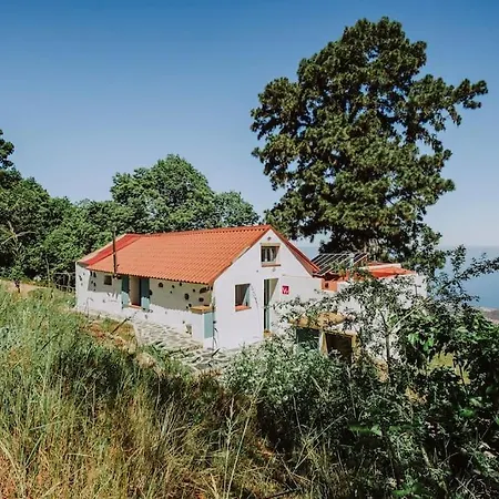 El Pino Centenario 4b La Perdoma