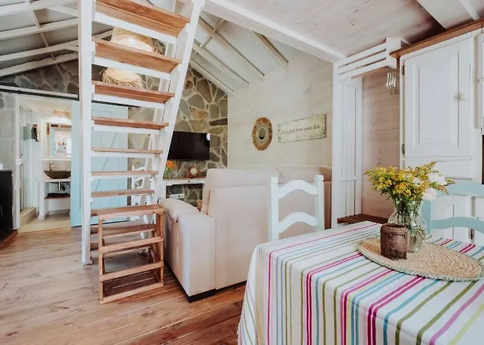 El Pino Centenario 4b Vila *