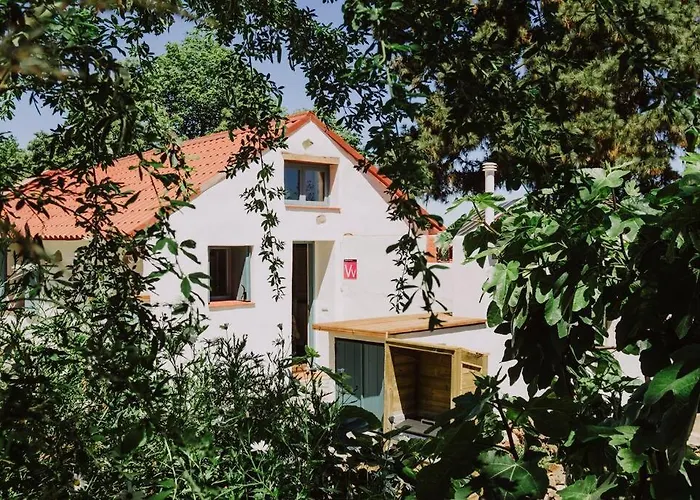 Vila El Pino Centenario 4b