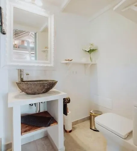 别墅 El Pino Centenario 4b