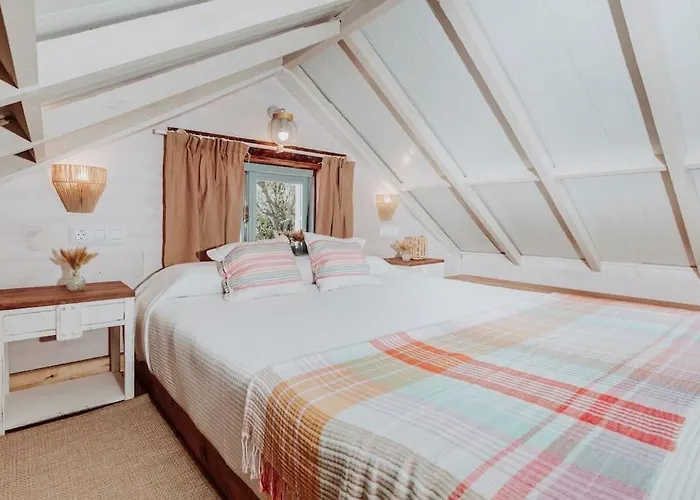 El Pino Centenario 4b *